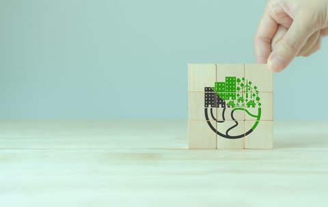 Regulating Green Claims: The Global Enforcement Landscape
