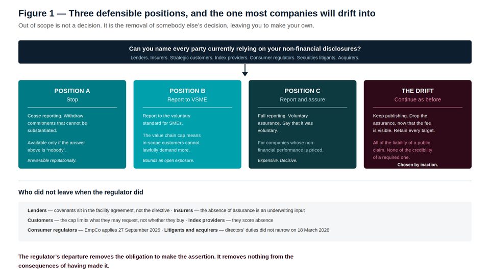 Decision framework diagram showing three defensible CSRD scope positions versus a fourth position resulting from inaction