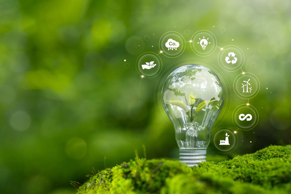 Four categories of point loss in ESG ratings submissions displayed as a diagnostic framework for identifying where companies 