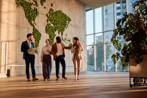 The Clean Opinion Problem: Why Sustainability Assurance Must Be Redesigned Around Trust