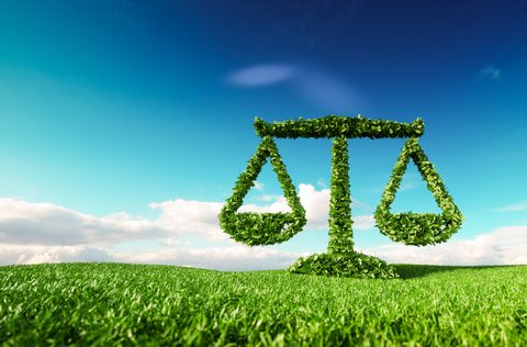 When a Claim Goes Wrong: Enforcement, Remediation, and Crisis Response