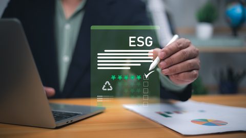 Why Every Company Needs a Sustainability Management System